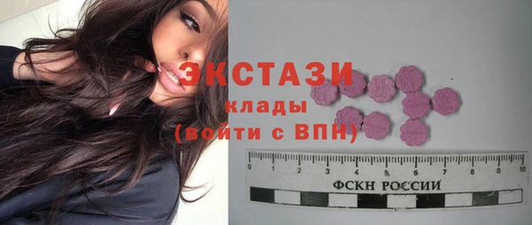 индика Богородск
