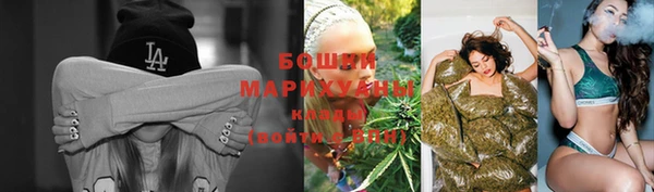 стаф Елабуга