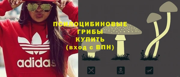 индика Богородск