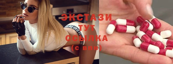 индика Богородск