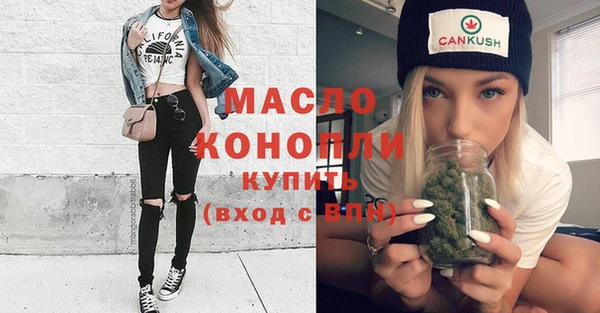 индика Богородск
