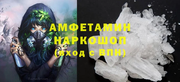 индика Богородск