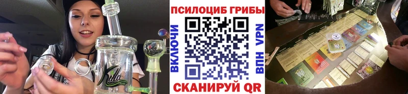 Псилоцибиновые грибы Cubensis  Ковылкино 